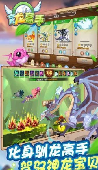 育龙高手最新版 v2.9.43