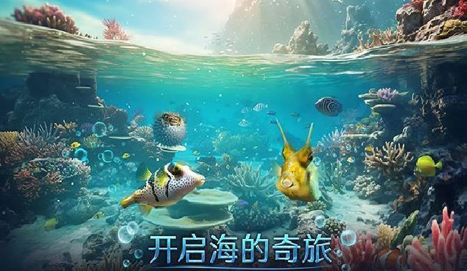 小小水世界国际服 v4.33.1