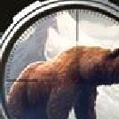 狩猎冲突无限金币版 v4.26.1