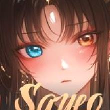 saylo升级版 v2.1.4