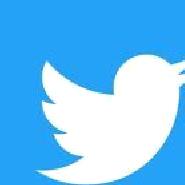 twitter官方版2023最新 v9.91.0-release