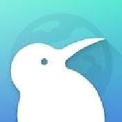 kiwibrowser浏览器安卓版 v132.0.6