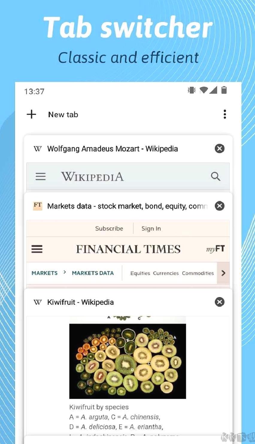 kiwibrowser浏览器安卓版 v132.0.6