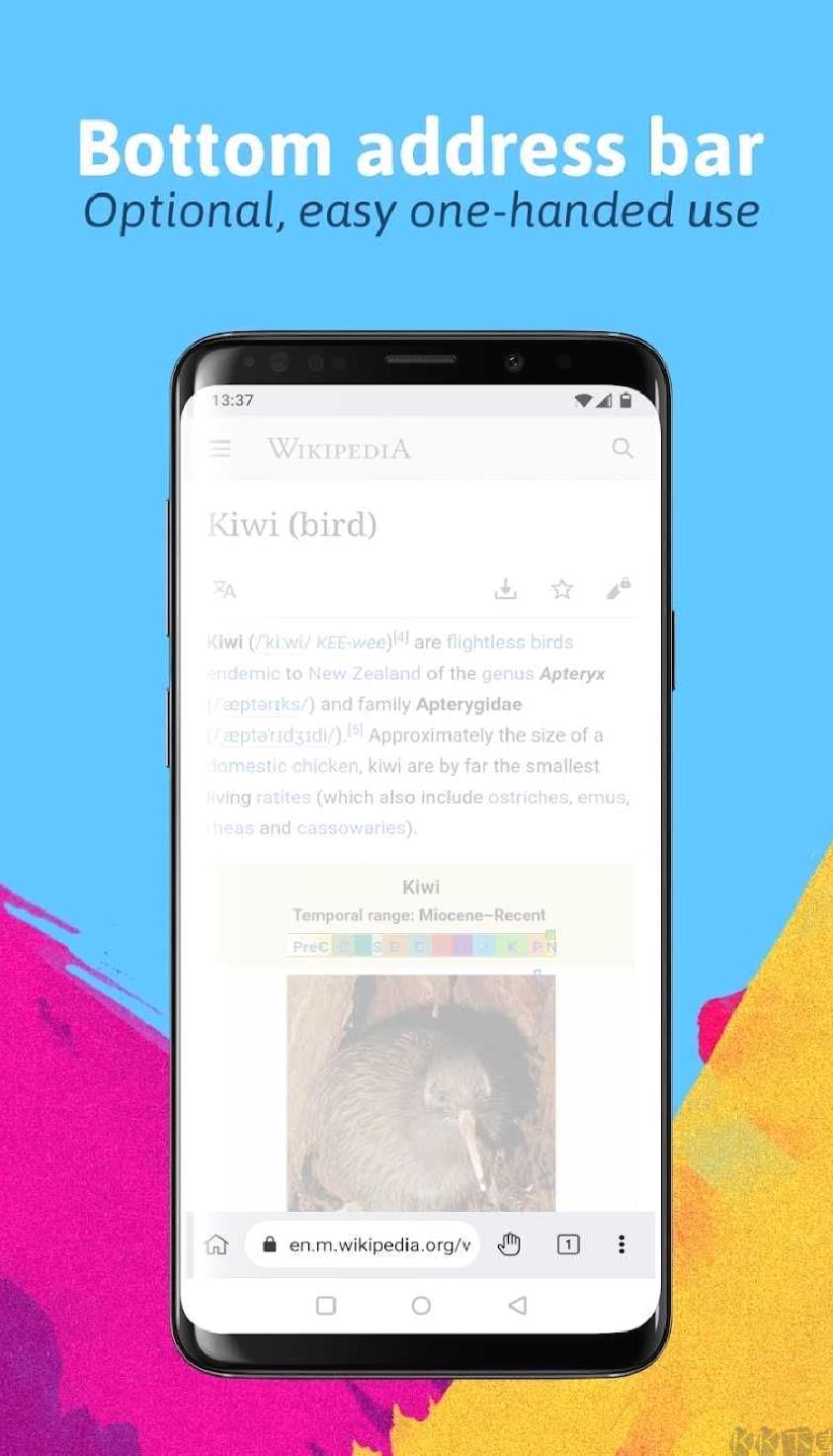 kiwibrowser浏览器安卓版 v132.0.6